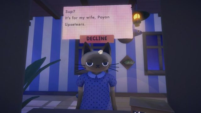 Your Ultimate Guide to Downloading Cat Mail Co. for Cats