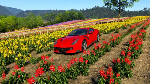 Your Essential Guide to Downloading Forza Horizon 6