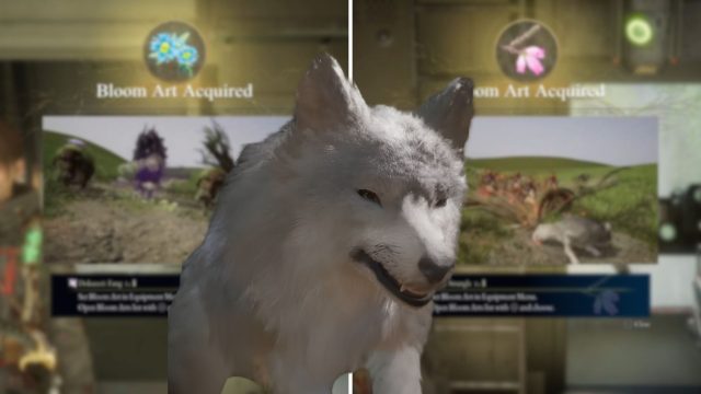 Your Ultimate Guide to Downloading and Playing Beast of Reincarnation