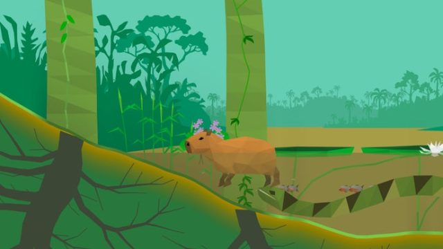 Explore and Download Polyzonia: A Unique Amazon Rainforest Sim