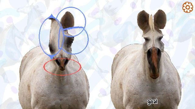 Your Essential Guide to Downloading Horse Magnifier Now