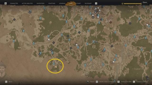 Master the Time Loop in Blood of Dawnwalker: Your Essential Guide