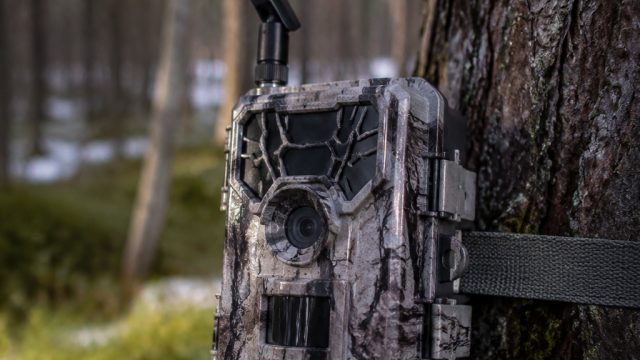 Unlocking Affordable Cellular Trail Cameras for Your Outdoor Adventures | merahqq, rtp uno4d